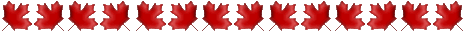 Alt Maple Leafs