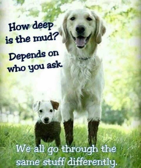 how deep is the mud