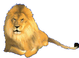Roaring Lion