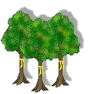 Yellow Ribbon on Trees